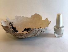 Load image into Gallery viewer, 'Seaweed Clam'