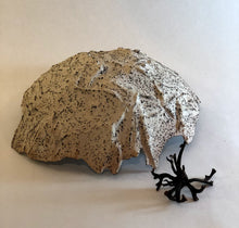 Load image into Gallery viewer, 'Seaweed Clam'