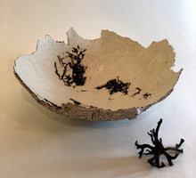 Load image into Gallery viewer, 'Seaweed Clam'