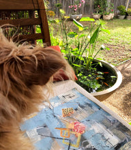 Load image into Gallery viewer, 'Set me Free' - 29 x 39cm